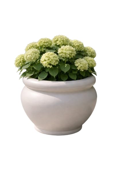 Round Ceramic Planter