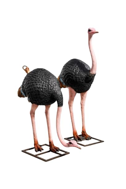 Ostrich Garden Sculpture