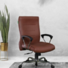 Brown Executive Office Chair