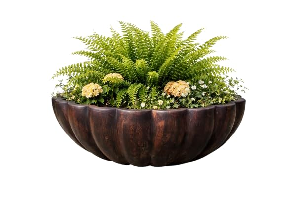 Bowl Garden Planter