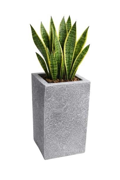 Fluted Gold Planter