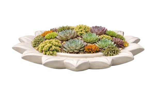 Ceramic Succulent Planter