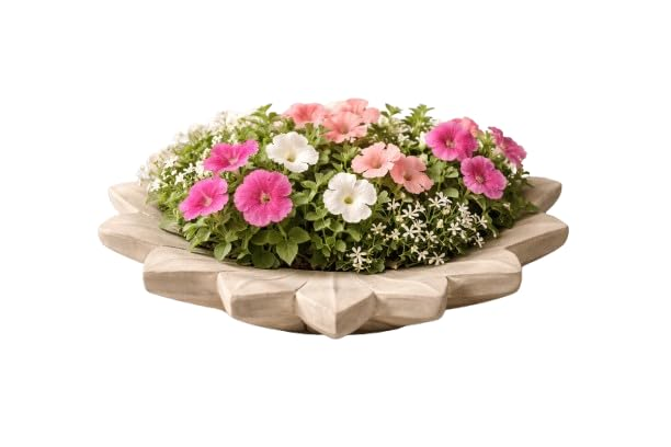 Ceramic Bowl Planter
