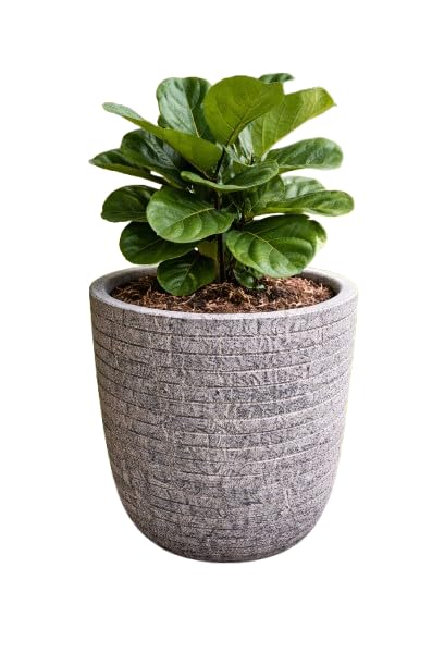 Decorative Urn Pot