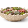 Version 1.0.0 Flower Bowl Planter
