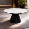 Marble Coffee Table