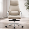 Zenith Ergonomic Chair