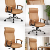Tan Ergonomic Office Chair
