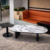 Oval Marble Coffee Table