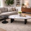 Oval Coffee Table Set 015