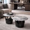 Nesting Coffee Table Set of 2