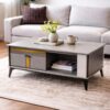 Coffee Table with Storage